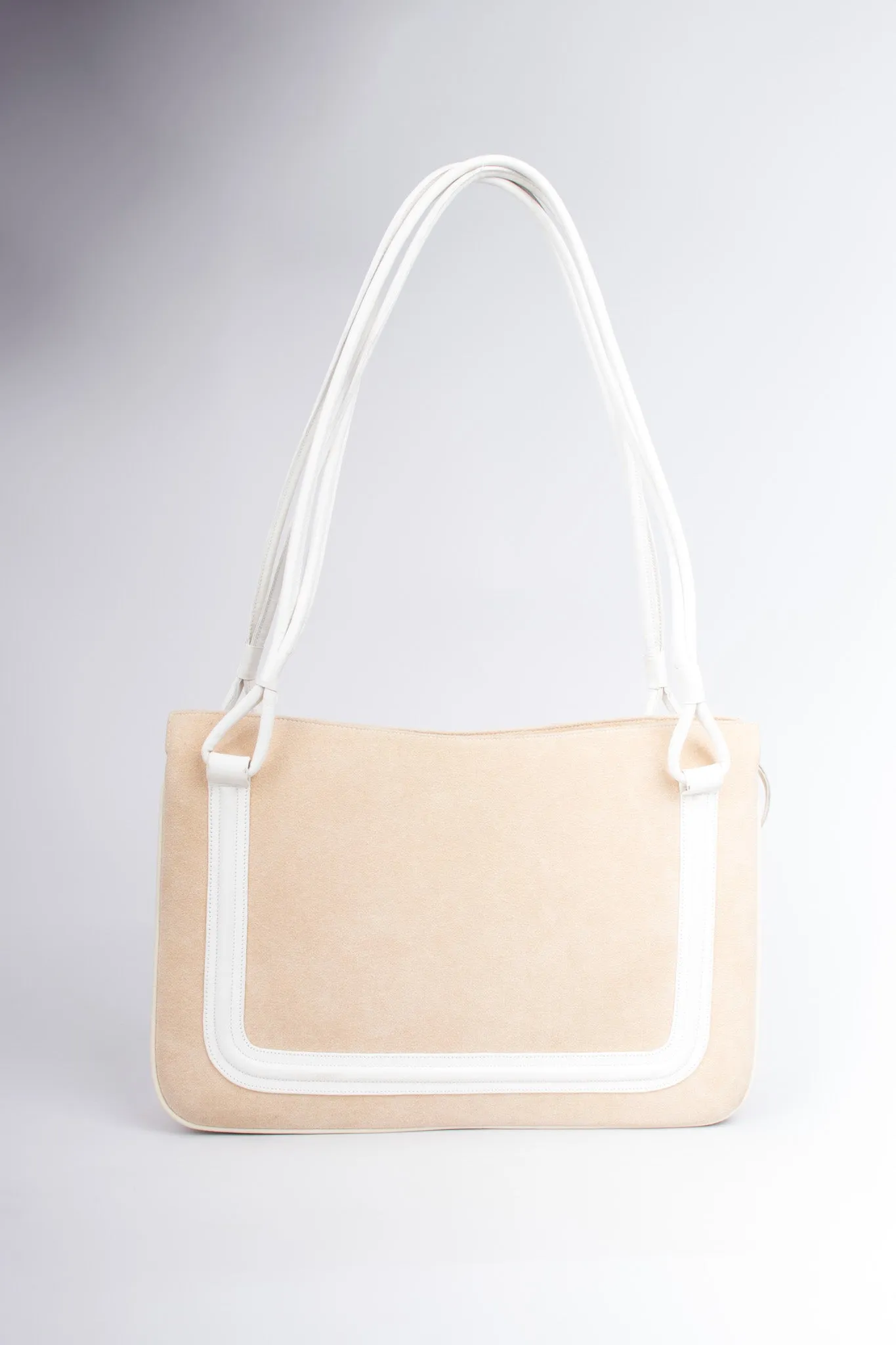 Lion Medallion Bag