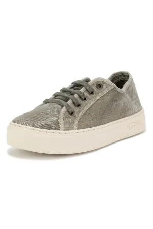 Natural World Old Gavi Trainer Grey Platform 6114E 670